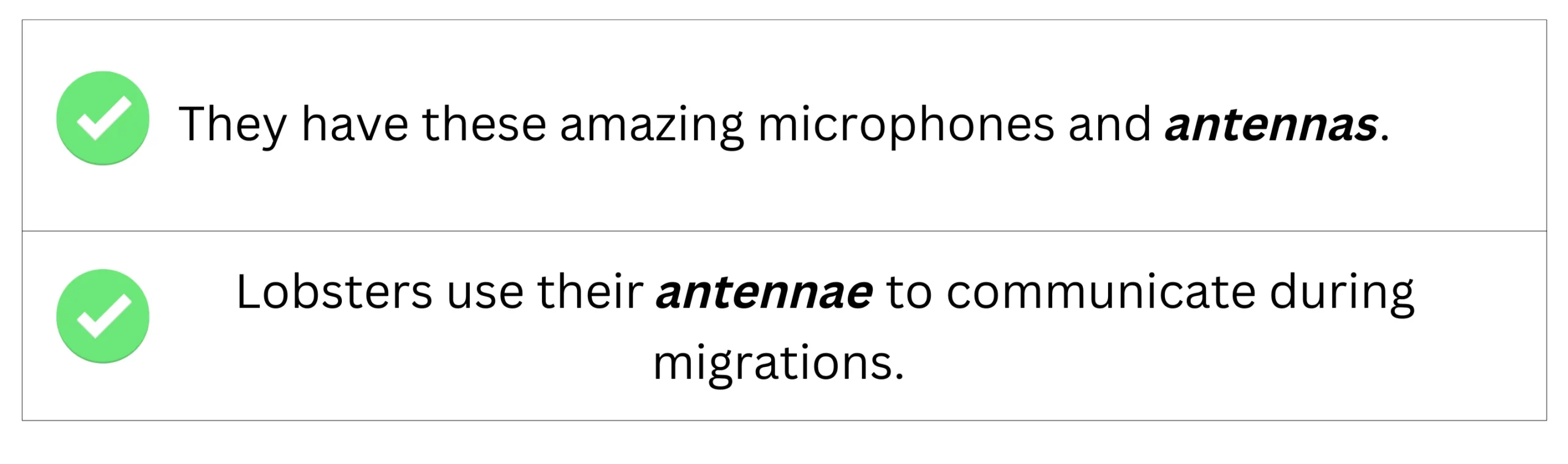The correct use of antennae/antennas in sentences.