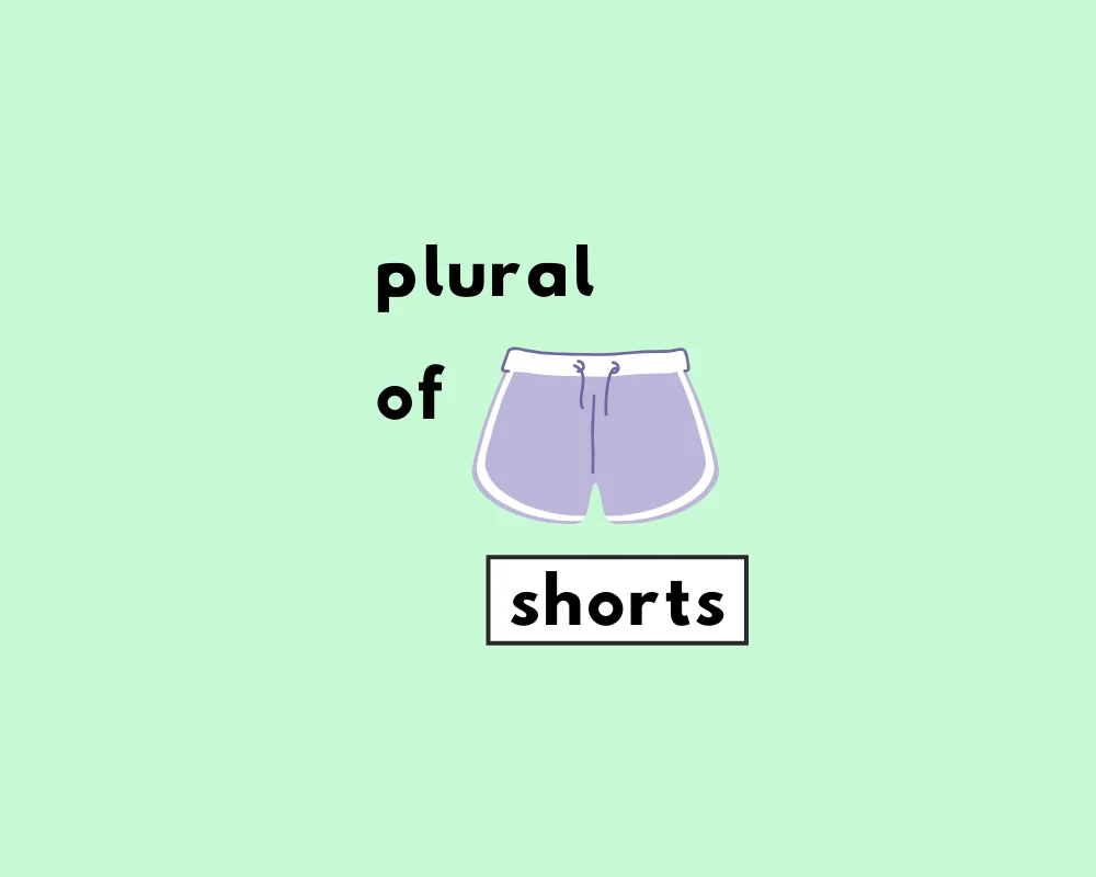 Are Shorts Plural or Singular? | Grammarflex