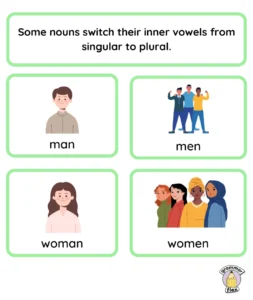Some nouns switch their inner vowels from singular to plural.