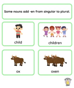 Some nouns add en as a plural.