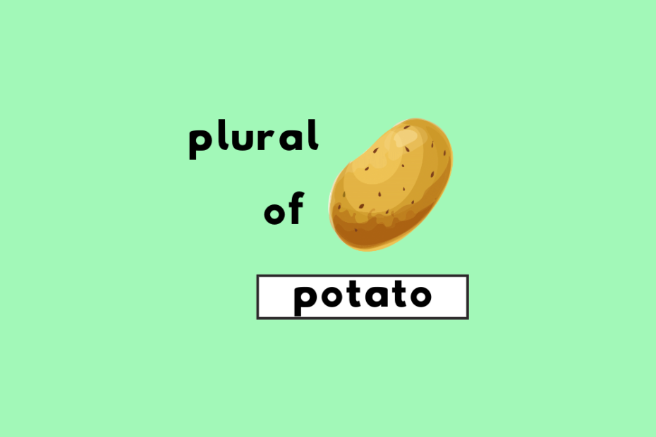 What s The Plural Of Potato 