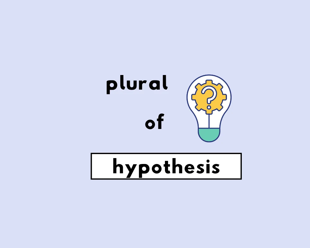 singular form of the word hypothesis
