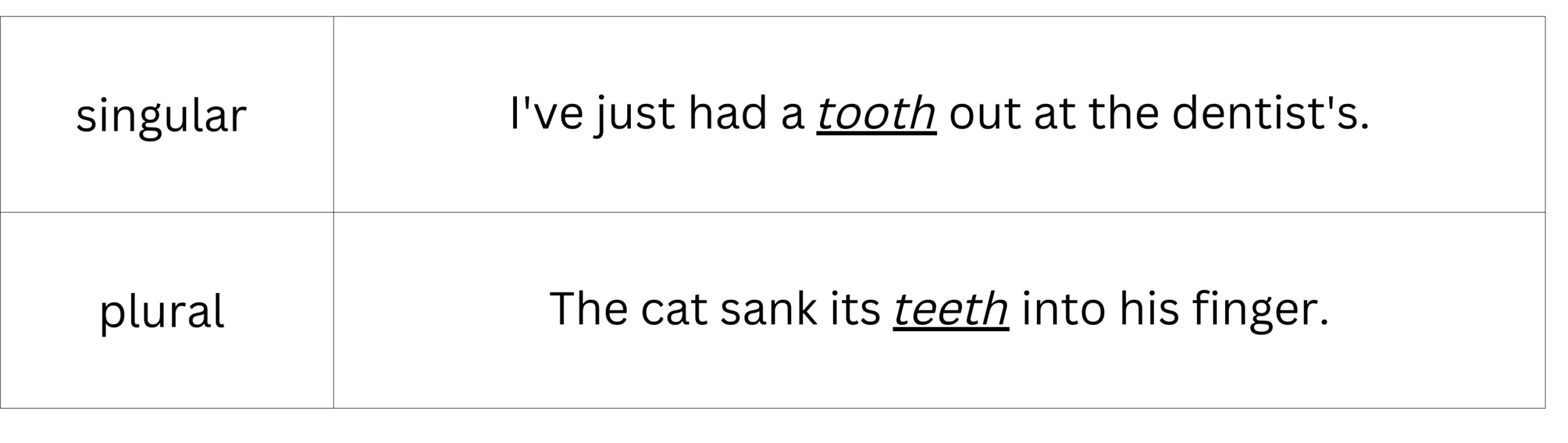 Tooth/teeth (singular and plural)