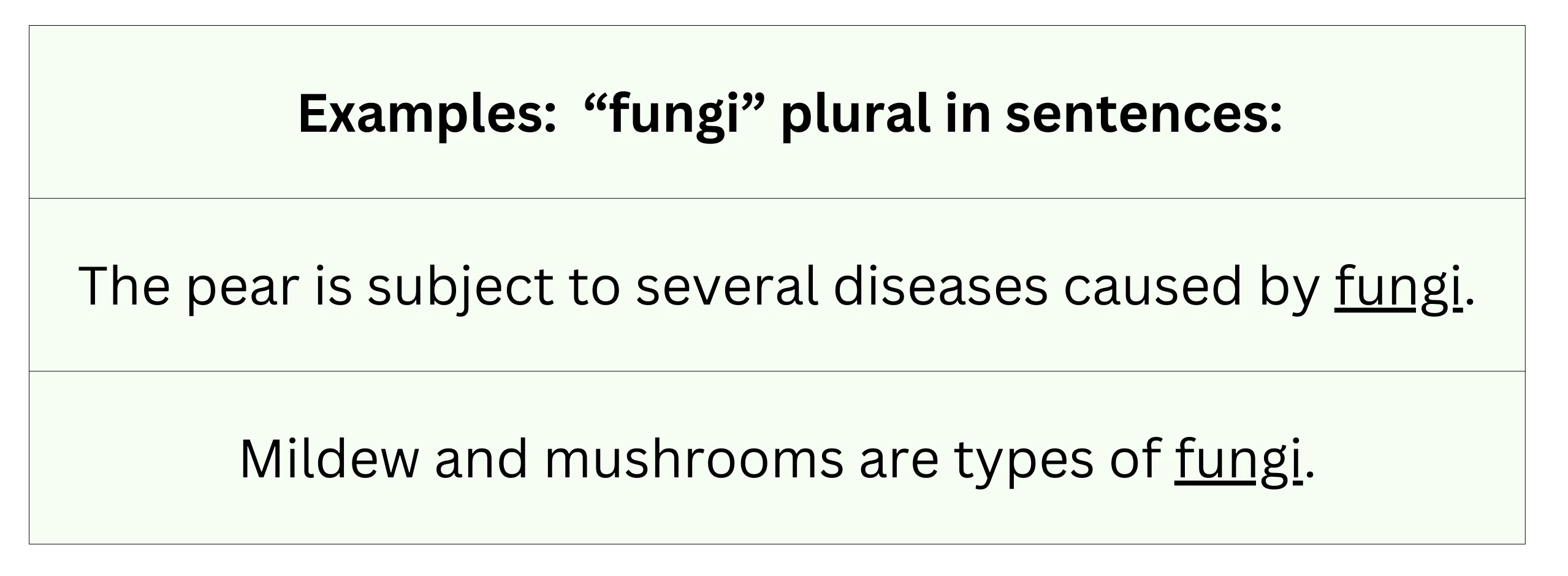 "Fungi" plural in sentence examples.
