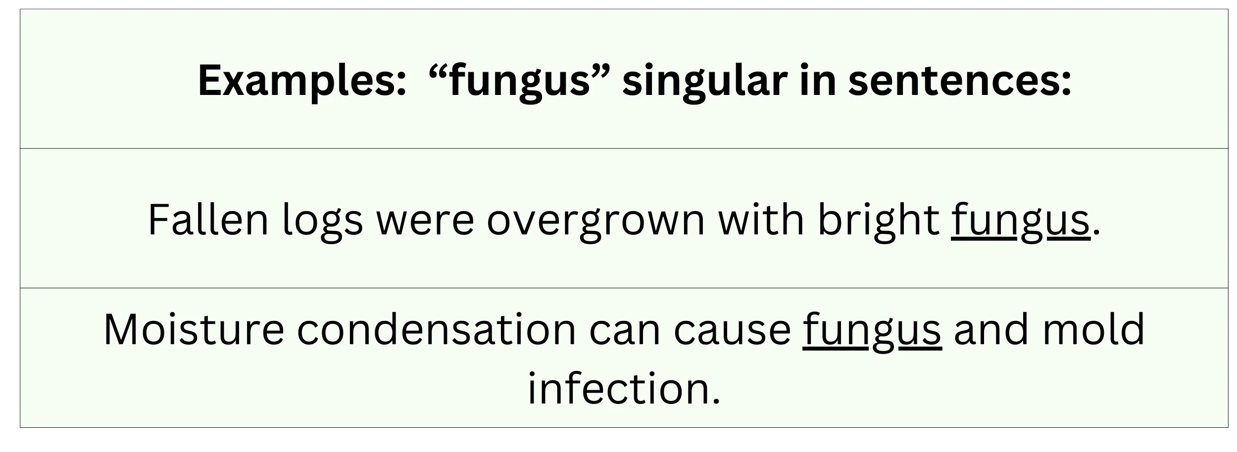 "Fungus" singular in sentence examples.