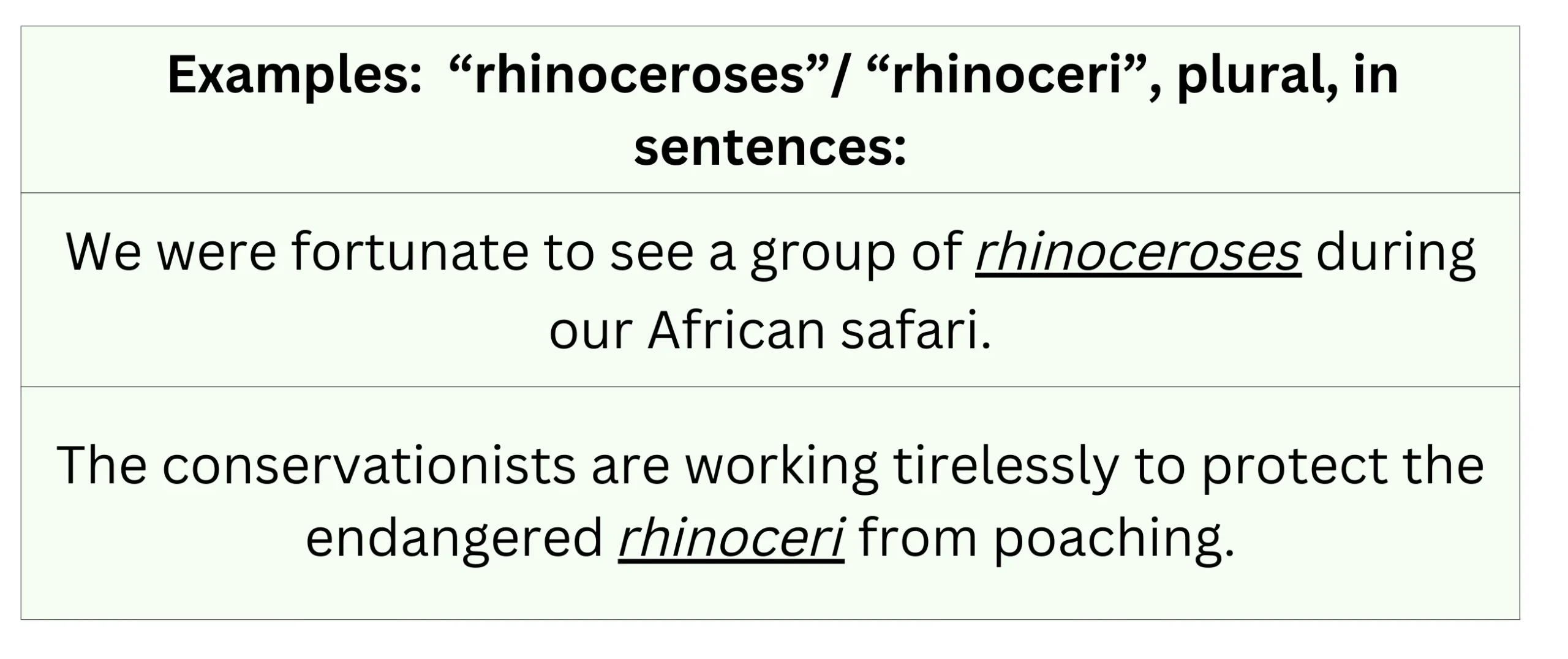 Examples of "rhinoceroses"/"rhinoceri" used as a plural noun in sentences.