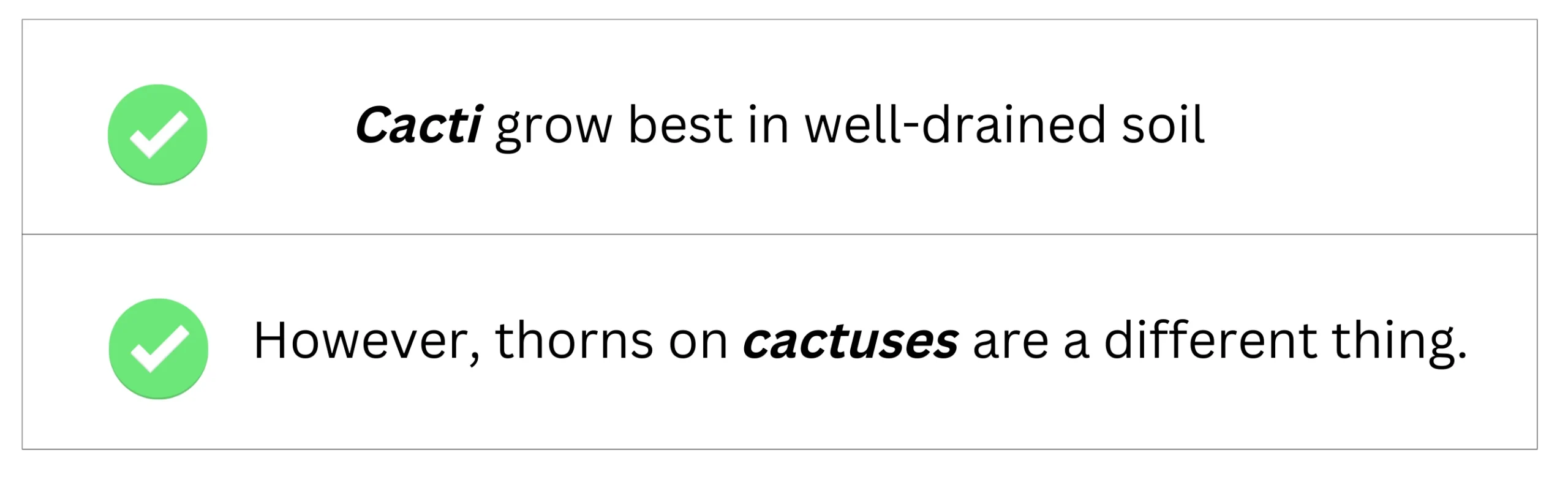Plural of cactus shown in sentence examples.