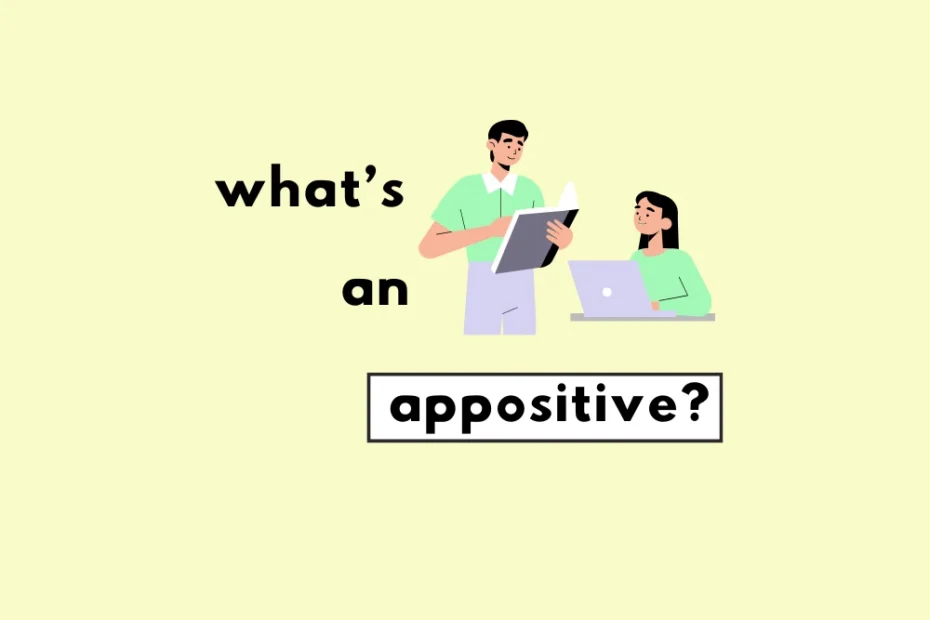 All about appositive nouns.
