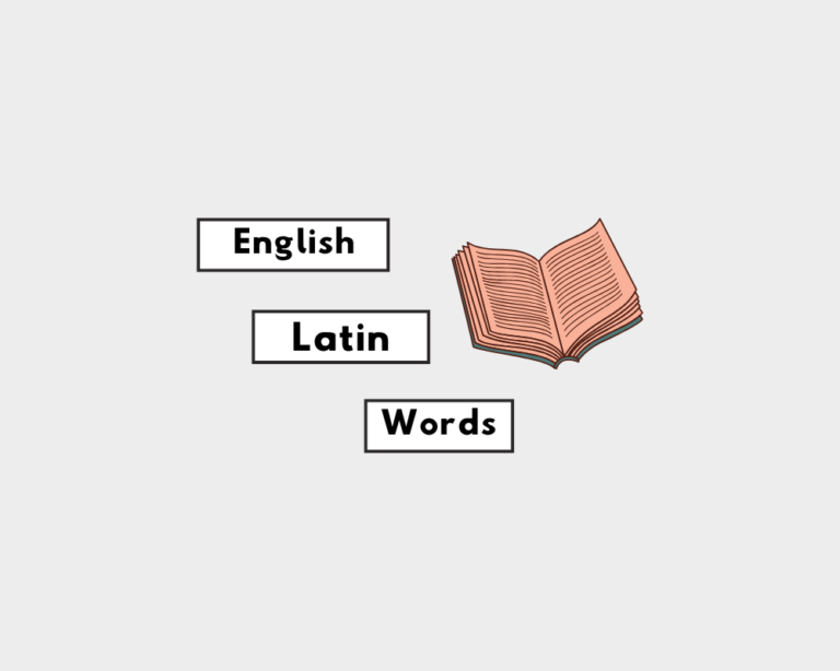 English Latin words