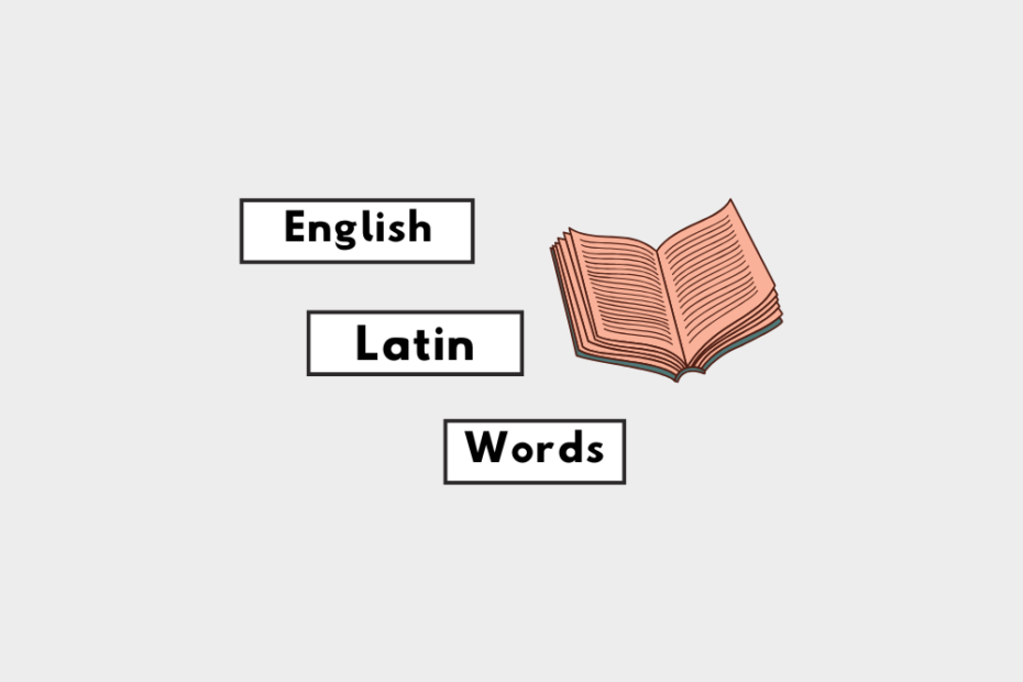 English Latin words