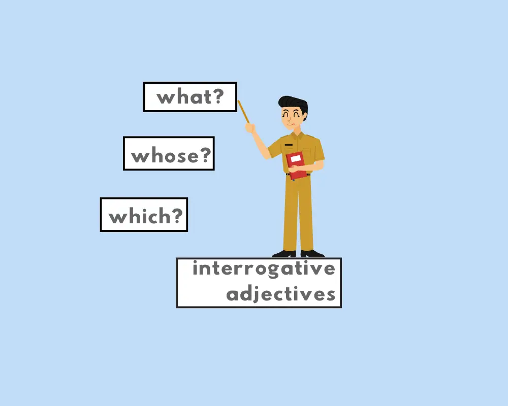 Which, what, whose (Interrogative adjectives)