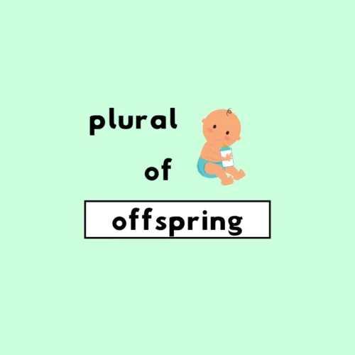 what-s-the-plural-of-offspring-grammarflex